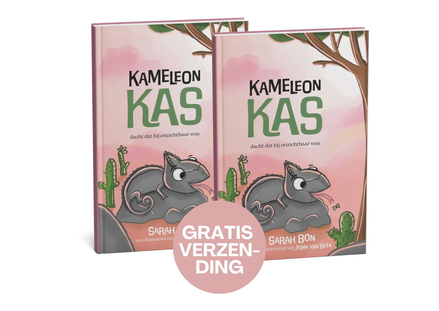 Bundel: 2x Kameleon Kas